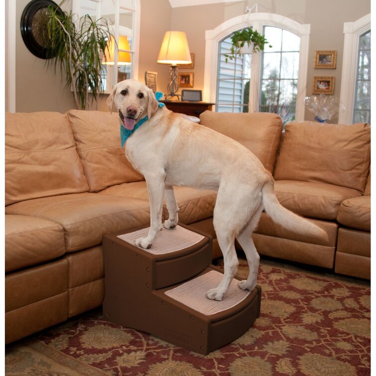 Pet gear 2024 pet stairs